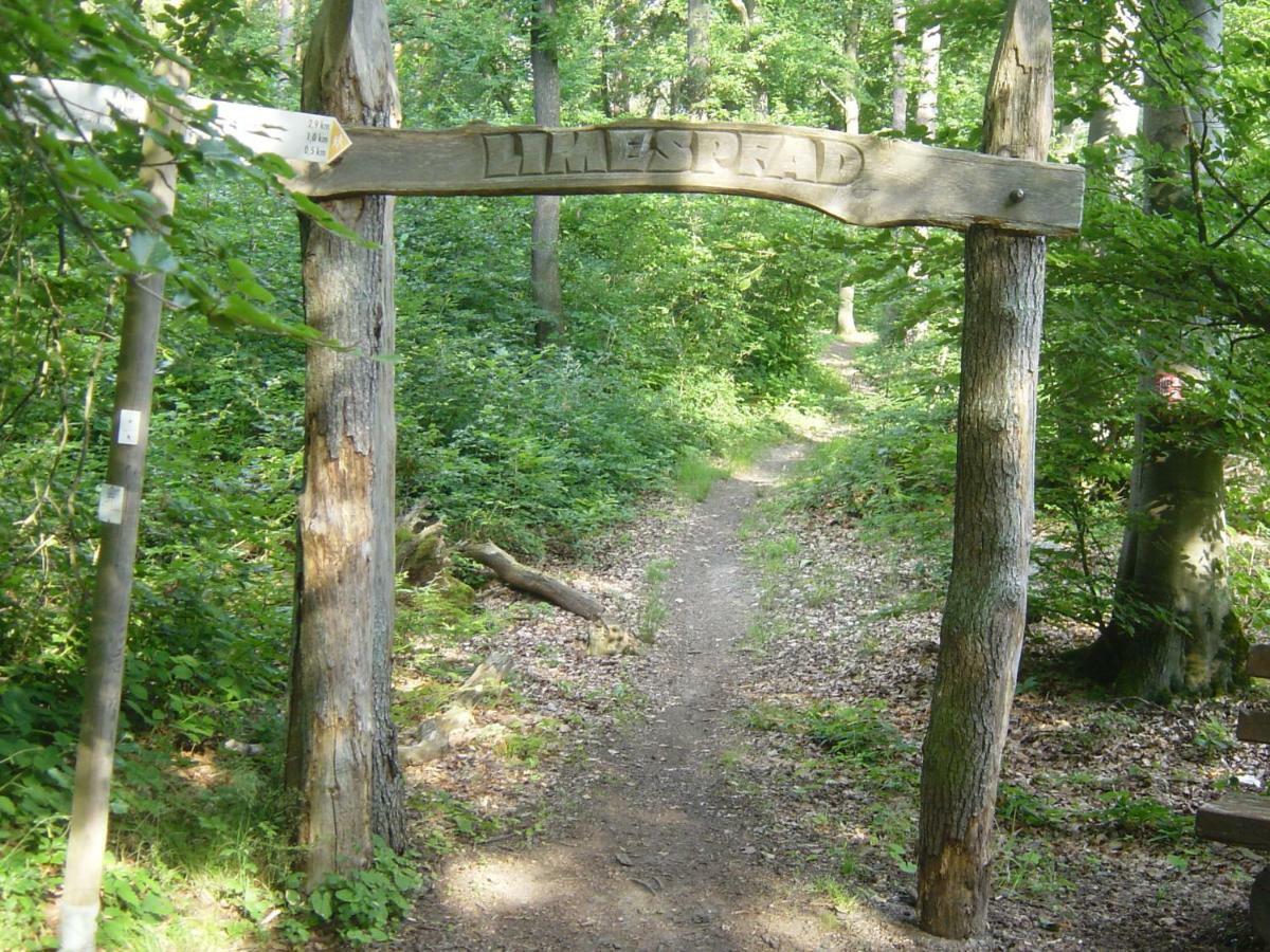 דירות Hillscheid Haus Am Wald מראה חיצוני תמונה