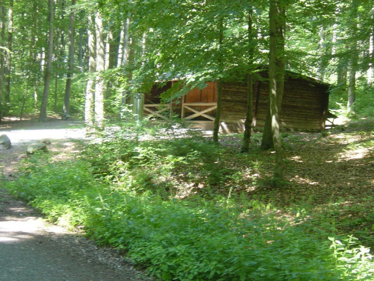 דירות Hillscheid Haus Am Wald מראה חיצוני תמונה
